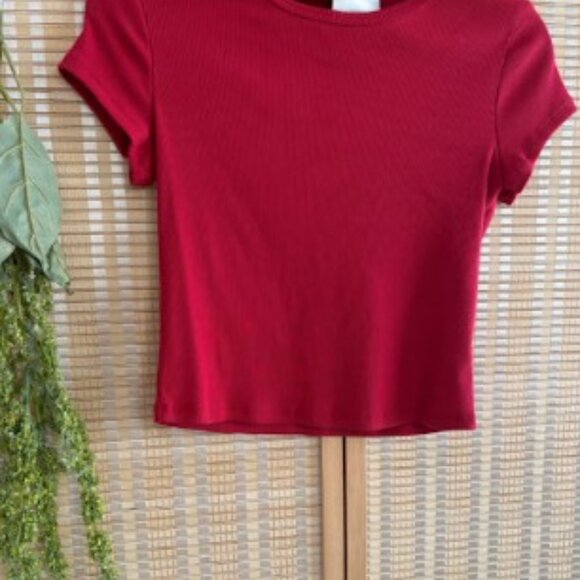 Reformation Cropped Tee (Red) - Picture 2 of 2